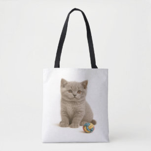 British Shorthair and Yarn Boll Bliss Tygkasse