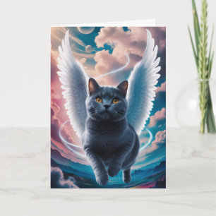 British Shorthair Ängel Sympati Kort
