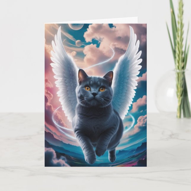 British Shorthair Ängel Sympati  Kort (Framsida)