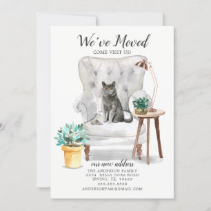 British Shorthair Cat Flytta Announcement Meddelande