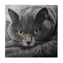 British Shorthair Cat Kakelplatta