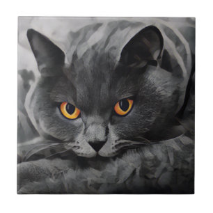 British Shorthair Cat Kakelplatta