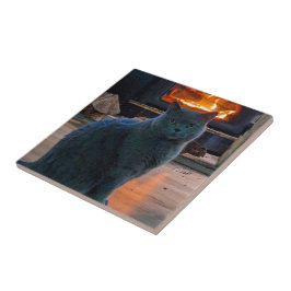 British Shorthair Cat Kattunge Fireplace Kakelplatta