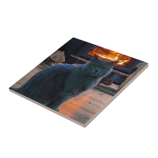British Shorthair Cat Kattunge Fireplace Kakelplatta (Sidan)