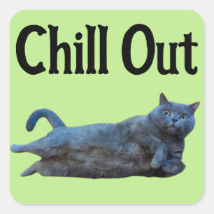 British Shorthair Cat Lutning på Side Chill Out Fyrkantigt Klistermärke