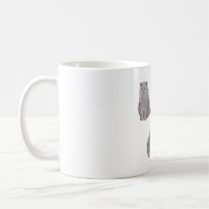 British shorthair cat Magic Kaffemugg