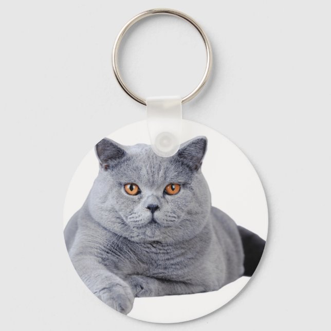 British shorthair cat nyckelring (Framsida)