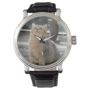 British shorthair, Cat, Pet Armbandsur