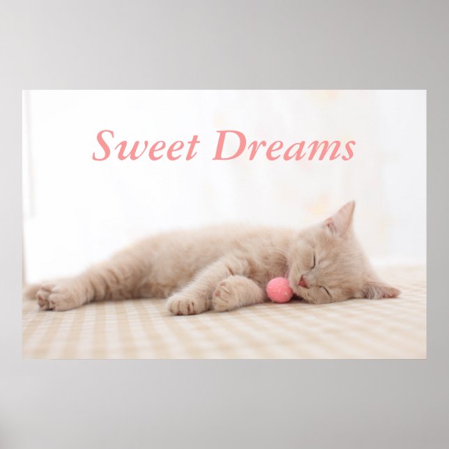 British Shorthair Cat Poster (Framsidan)