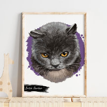 British Shorthair Cat Print | Skriv ut kattvägg