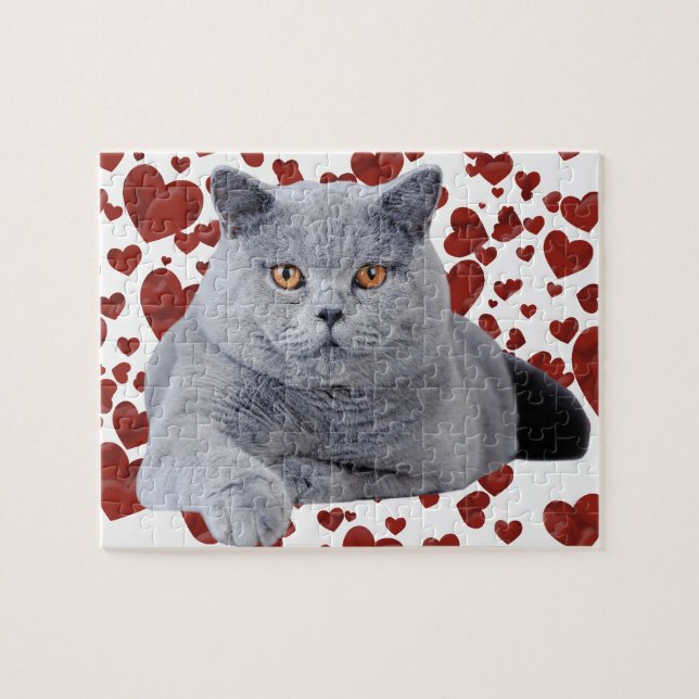 British shorthair cat pussel (Horisontell)