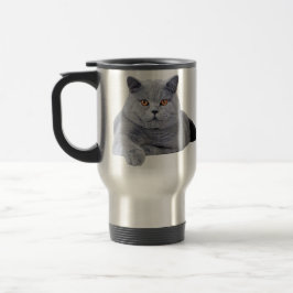 British shorthair cat resemugg