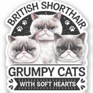 British Shorthair Grumpy Cats Klistermärken