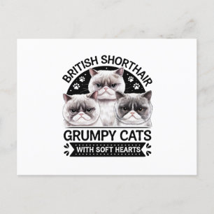 British Shorthair Grumpy Cats Vykort
