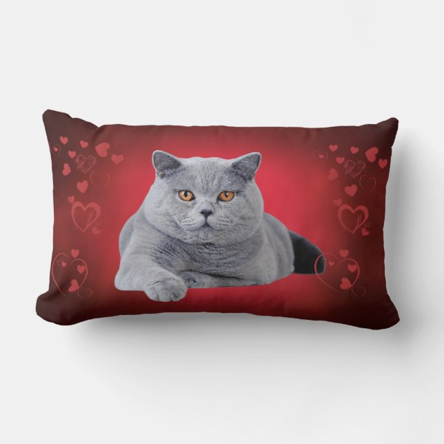 British shorthair kärlek cat lumbarkudde (Framsida)