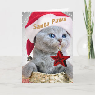 British Shorthair Kitten Santa Tassar Helgkort