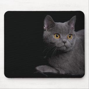 British Shorthair Mousepad Musmatta