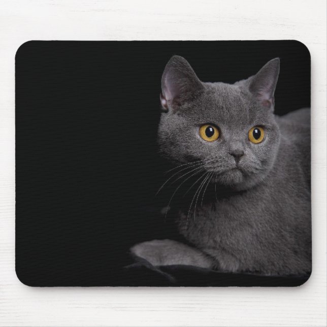 British Shorthair Mousepad Musmatta (Framsidan)
