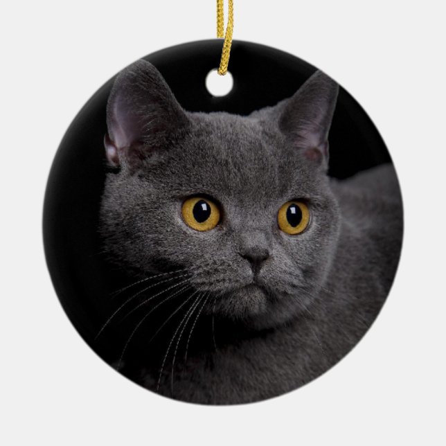 British Shorthair Ornament (Framsidan)