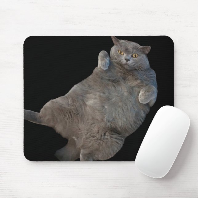 British Shorthair Tjock Cat Lutning på baksidan Musmatta (Med mus)