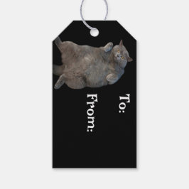 British Shorthair Tjock Cat Lutning på baksidan Presentetikett