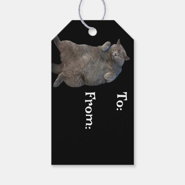 British Shorthair Tjock Cat Lutning på baksidan Presentetikett (Framsidan)