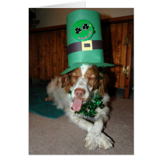 BRITNEY O'LAGRAR OBS KORT