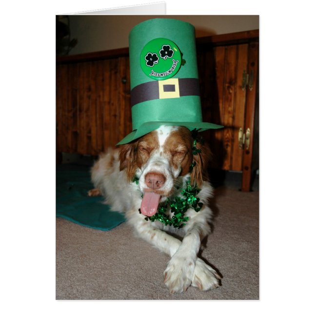 BRITNEY O'LAGRAR OBS KORT (Framsidan)