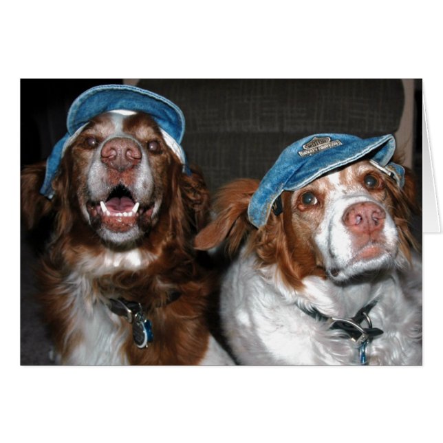 BRITS I HATS OBS KORT (Framsidan Horizontal)