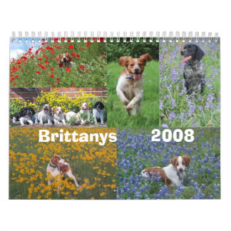 Brittany 2008 kalender
