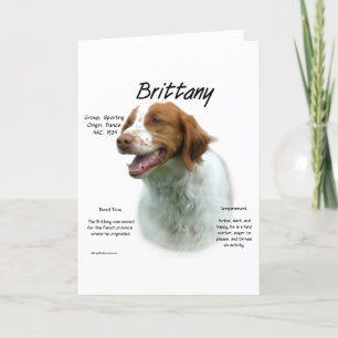 Brittany historiedesign helgkort
