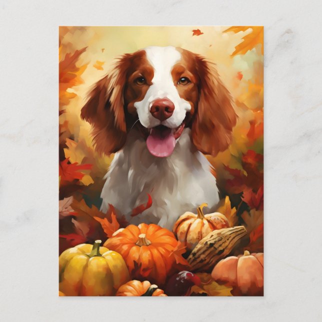Brittany hund Höst Thanksgiving  Vykort (Framsida)