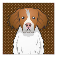 Brittany Hund Tecknad Tassar