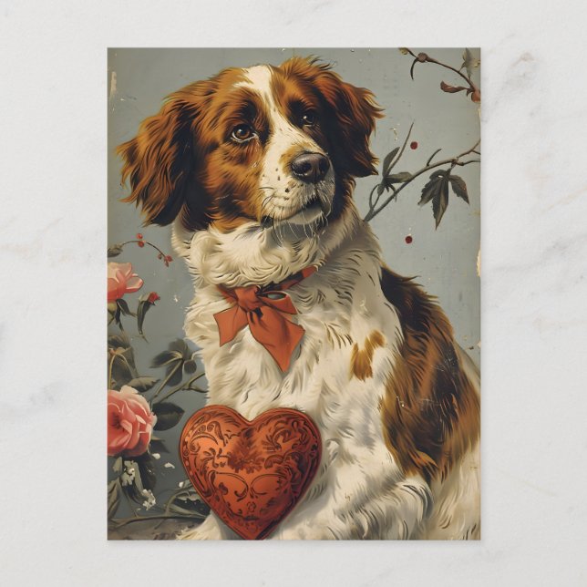 Brittany hund Vintage Valentines dag Vykort (Framsida)