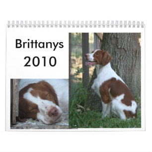 Brittany kalender 2010