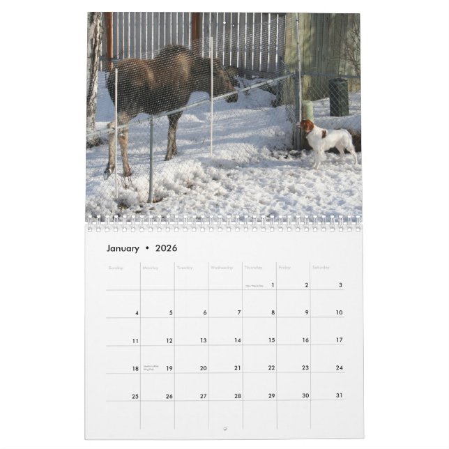 Brittany kalender 2010 (Jan 2026)