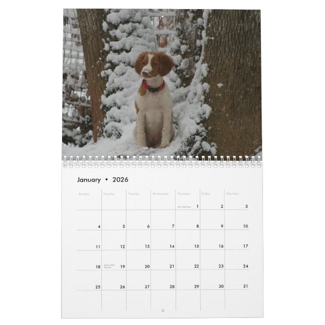 Brittany kalender 2012 (Jan 2026)