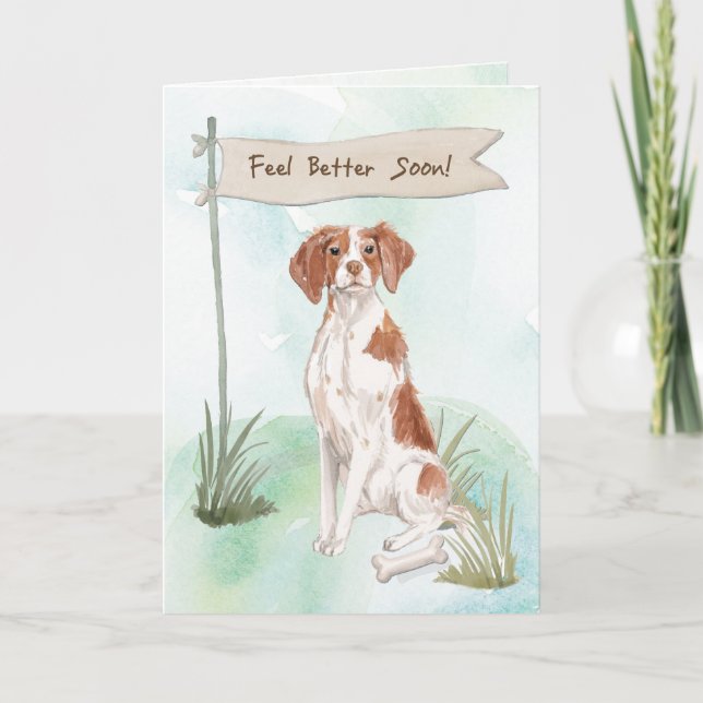 Brittany känselförnimmelse som är bättre efter kort (Framsida)