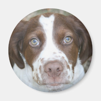 Brittany Kärlek Magnet