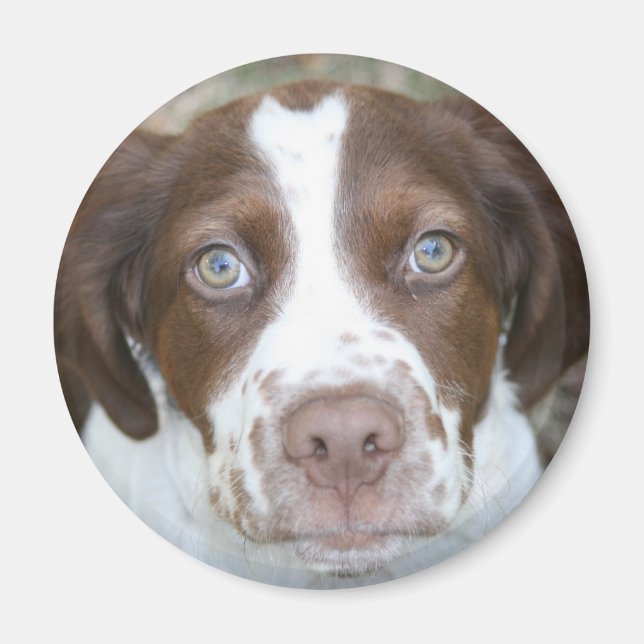 Brittany Kärlek Magnet (Framsidan)