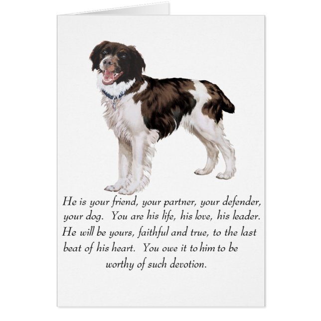Brittany KeepVII - Male Hund Hälsningskort (Framsidan)