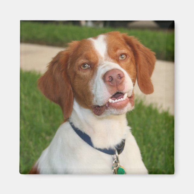 Brittany Magnet (Framsidan)