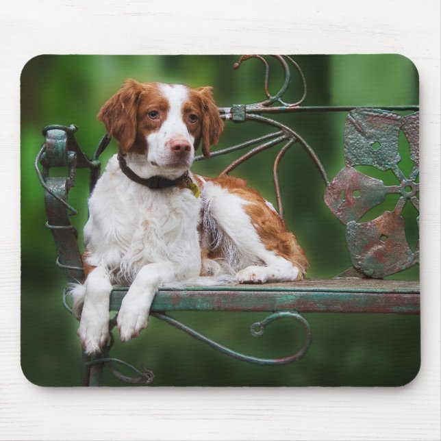 Brittany Mousepad Musmatta (Framsidan)