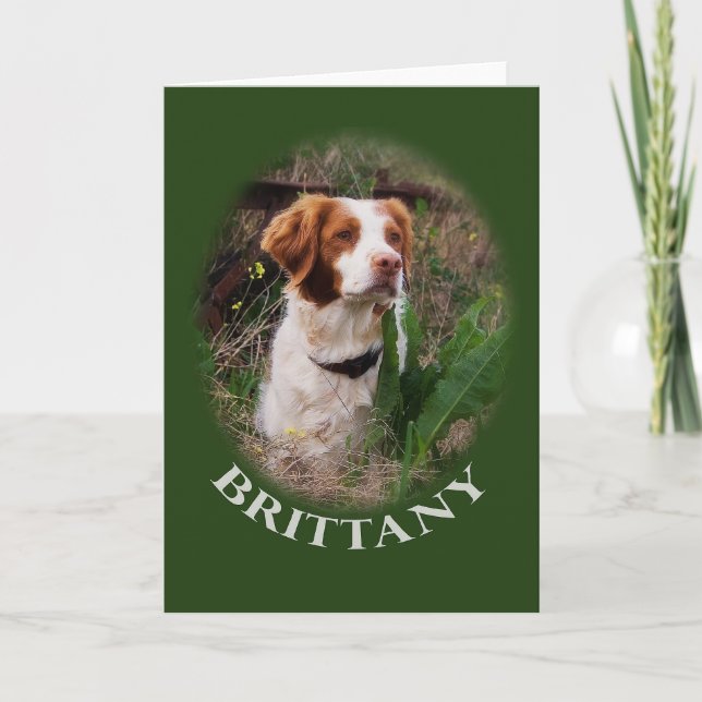 Brittany noterar kortet kort (Framsida)