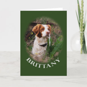 Brittany noterar kortet kort