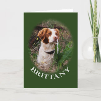 Brittany noterar kortet kort