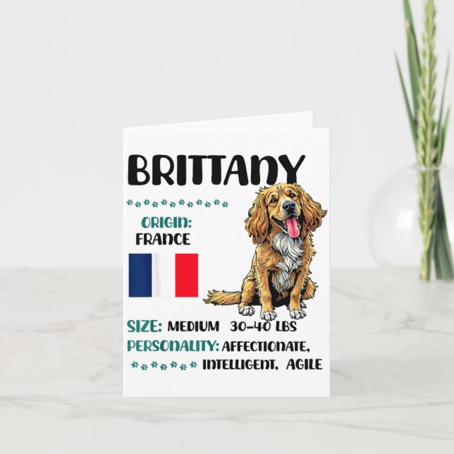 Brittany Origin Funny Brittany Dog Lover  Kort (Framsida)