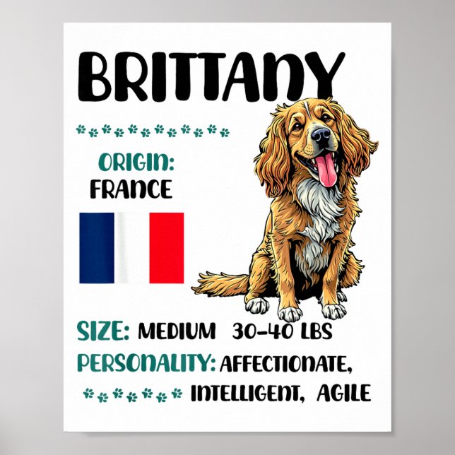 Brittany Origin Funny Brittany Dog Lover  Poster (Framsidan)