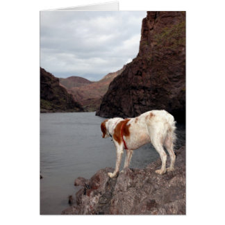 BRITTANY ÖVER COLORADO-FLODEN HÄLSNINGSKORT