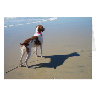 BRITTANY PÅ BEACH HÄLSNINGSKORT